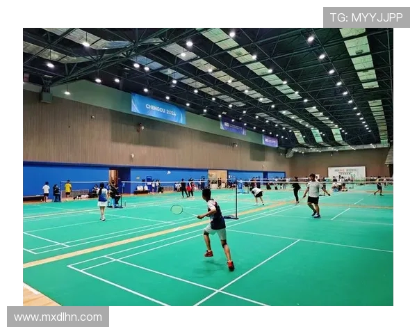 成都羽毛球队状态分析与未来展望聚焦羽毛球运动发展与团队建设 成都羽毛球队状态分析与未来展望聚焦羽毛球运动发展与团队建设