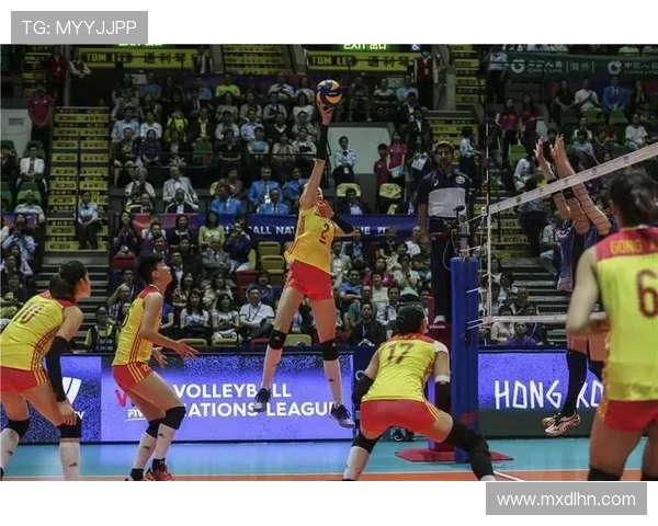 武汉排球队速度对比深度解析与战术优势探讨